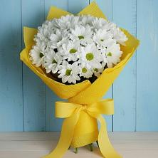 Букет цветов из:  Хризантемы в Новодвинске