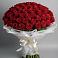 Букет 101 Красная роза Блэк Мэджик в Новодвинске