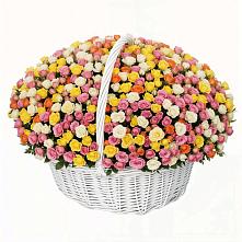 Премиум букет из: Розы #REPLACE_PRED# Новодвинске