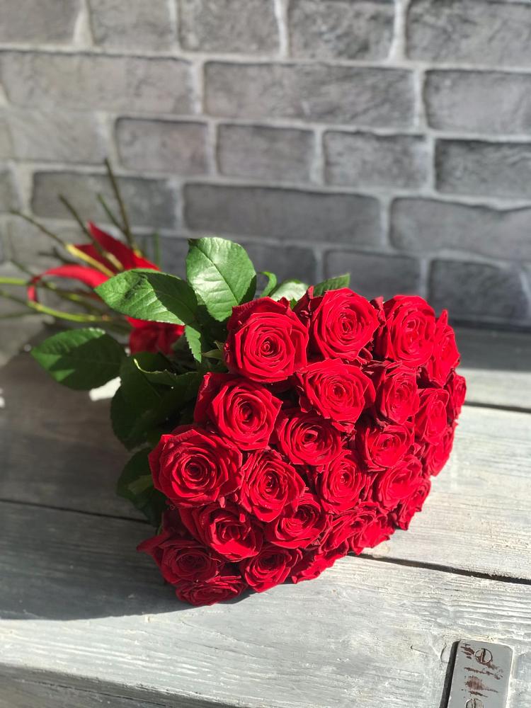 Букет Красные розы Фридом в Новодвинске