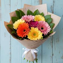 Букет цветов из:  Герберы в Новодвинске