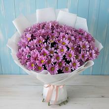 Букет цветов из:  Хризантемы #REPLACE_PRED# Новодвинске