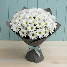 Букет цветов из:  Хризантемы в Новодвинске