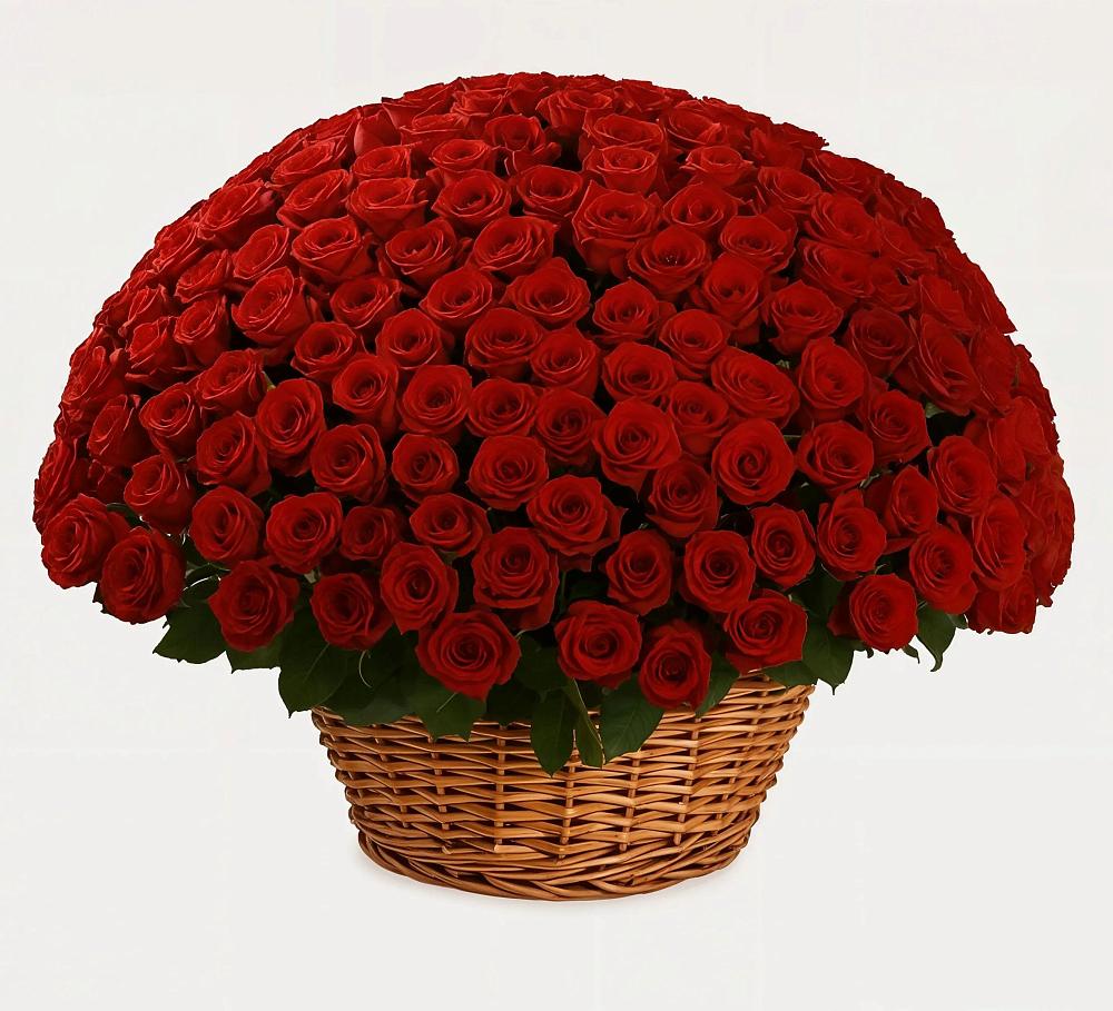 Премиум букет из: Розы в Новодвинске