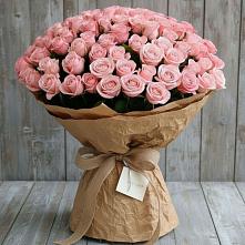 Букет 151 Роза Роуз #REPLACE_PRED# Новодвинске