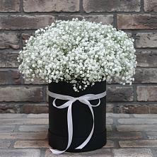 Цветочная композиция из Гипсофила в шляпной коробке в Новодвинске